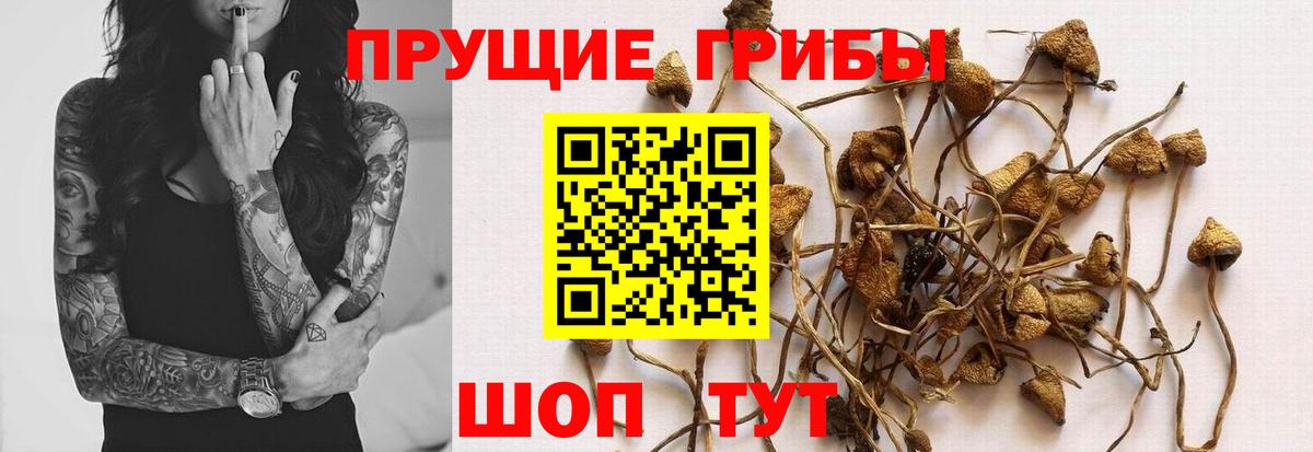 Галлюциногенные грибы мухоморы  Вход с VPN  Шахты 
